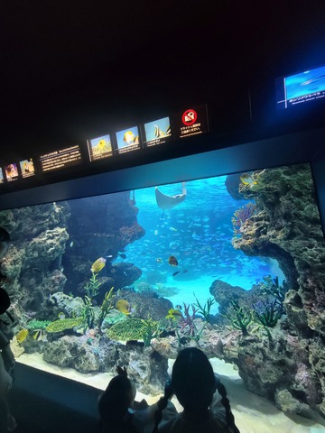 image3のコピー
