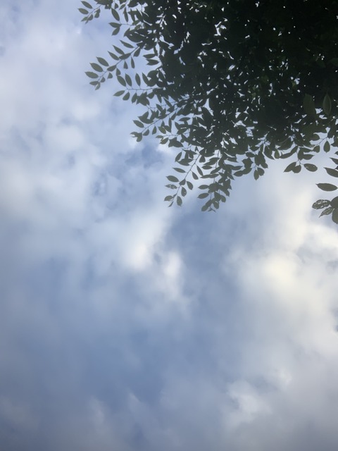 image2-3