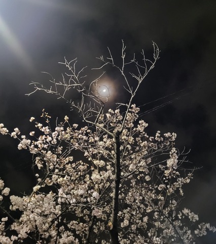 Unknown-2