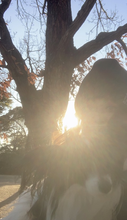 342A23C4-4674-4B39-A8BF-6B2B36C539FA