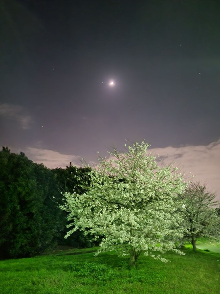 62171D37-A994-4D35-BD6E-B8EE7677B4E1