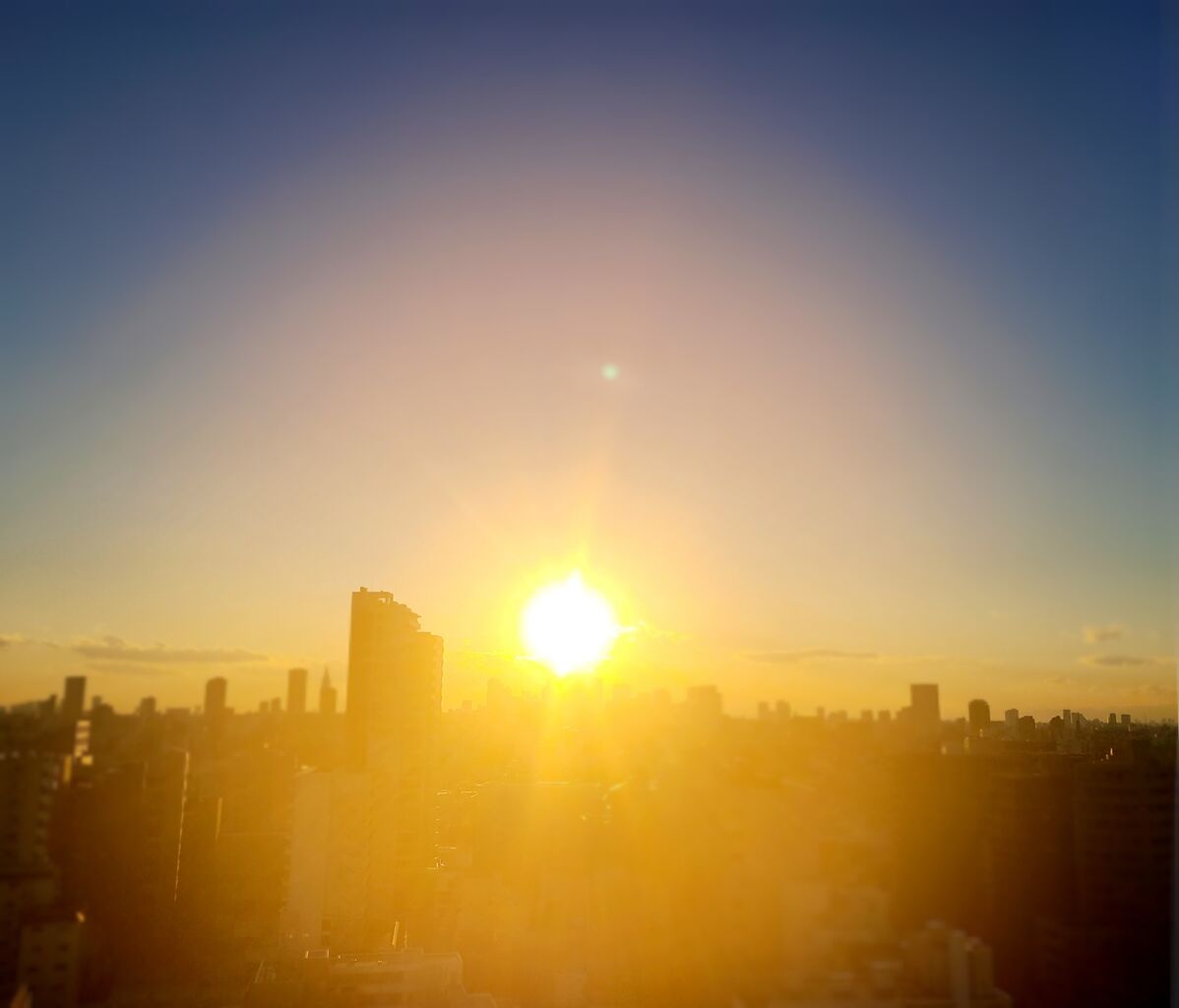 20210127_121657_925.jpg