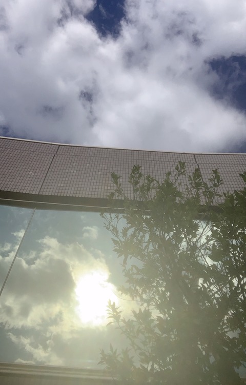 image12