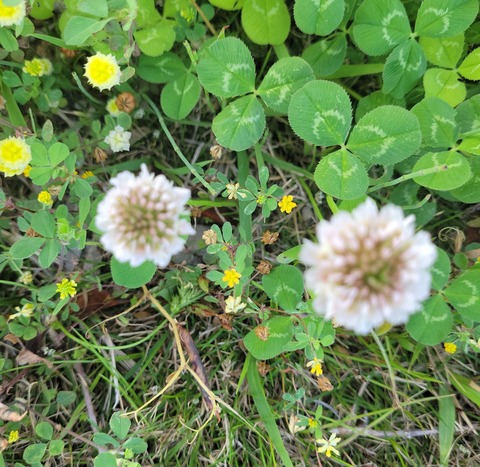 Unknown-2