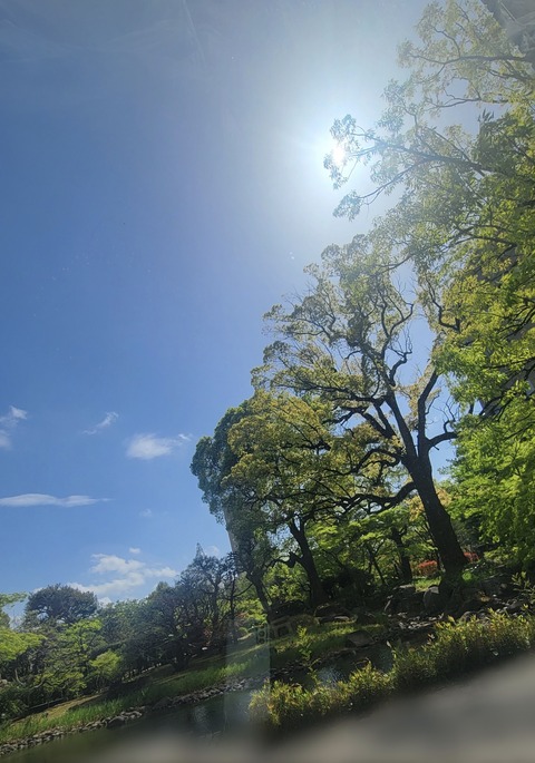 DF93B95B-5CA1-4CBD-AA93-0DE2C4114800