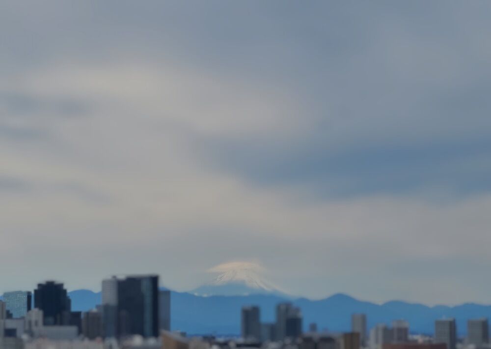 20201019_150308.jpg
