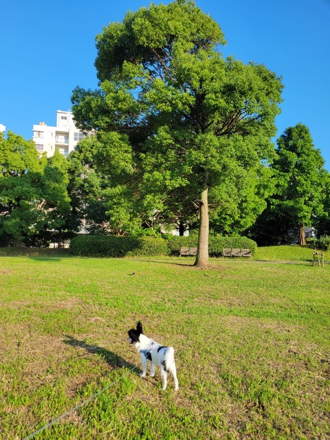 E62551DE-1124-4F1D-A915-7442FCCF066A