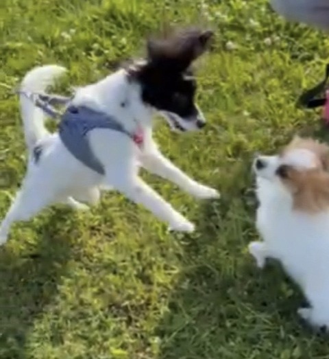 F8B823E8-3FA5-4260-A836-7DD714C69201