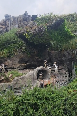 image10