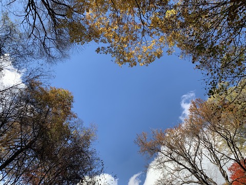 image6