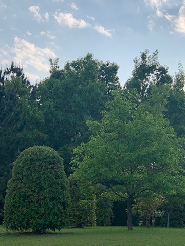 image5