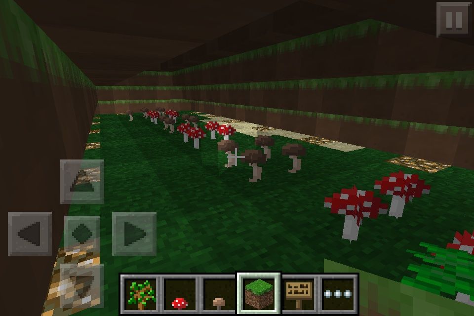 企画part10 まいくら星