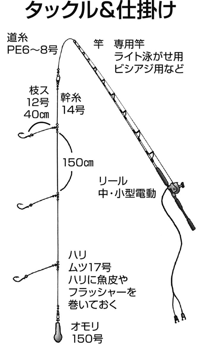 落とし込み仕掛け について画像をまとめてみた 釣りの一歩のblog 落とし込み仕掛け について画像をまとめてみた 釣りの一歩のblog