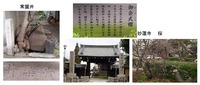 常盤井・妙蓮寺