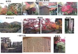 洛北紅葉1