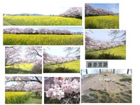 fujiwarakyo