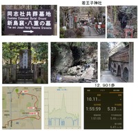 新島