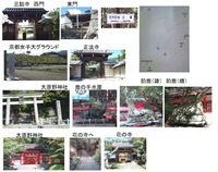 大原野神社