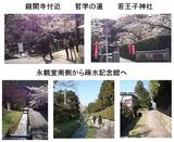 白川分流4