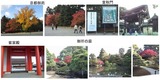 京都御所秋の公開