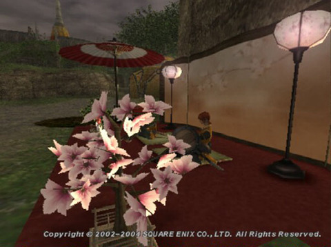 ohanami