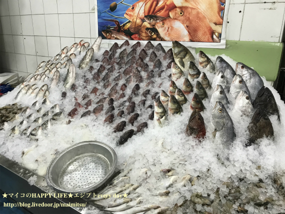 sIMG_2331