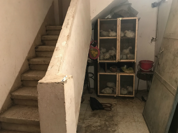 sIMG_2141