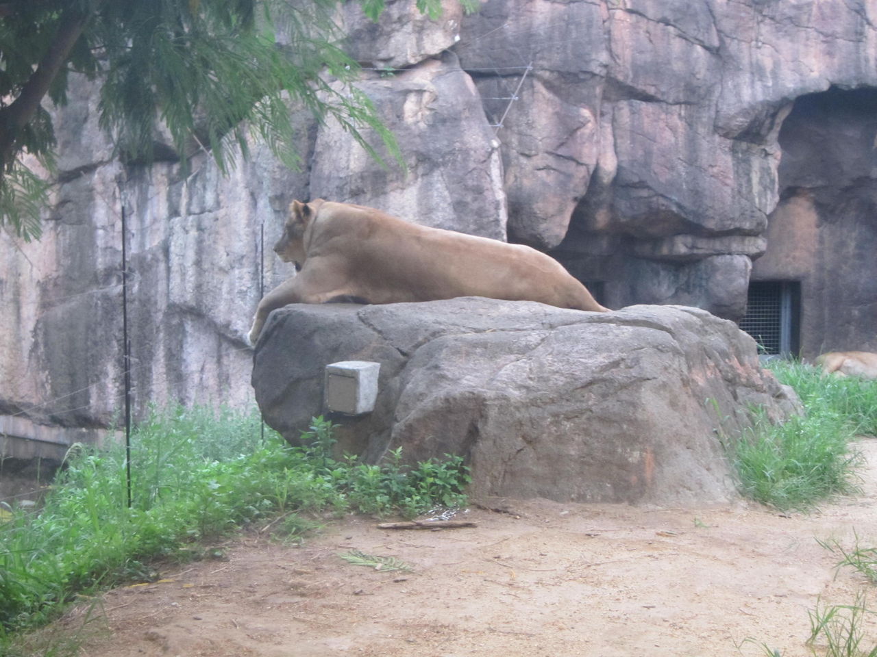 天王寺動物園ナイトｚｏｏ その２ Maimoな生活