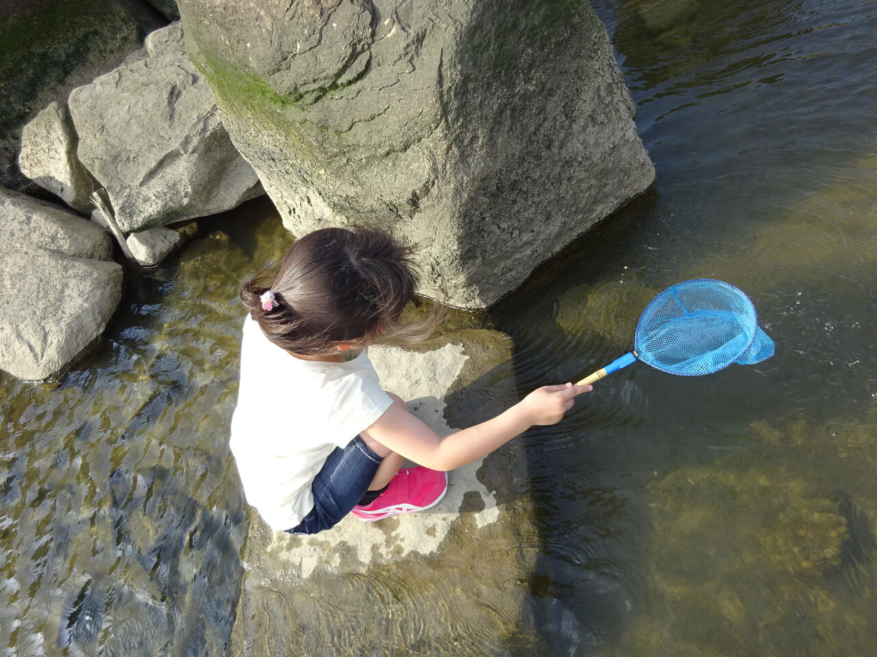 公園に行こう 西淀川区 矢倉緑地でエビ捕り Maimoな生活