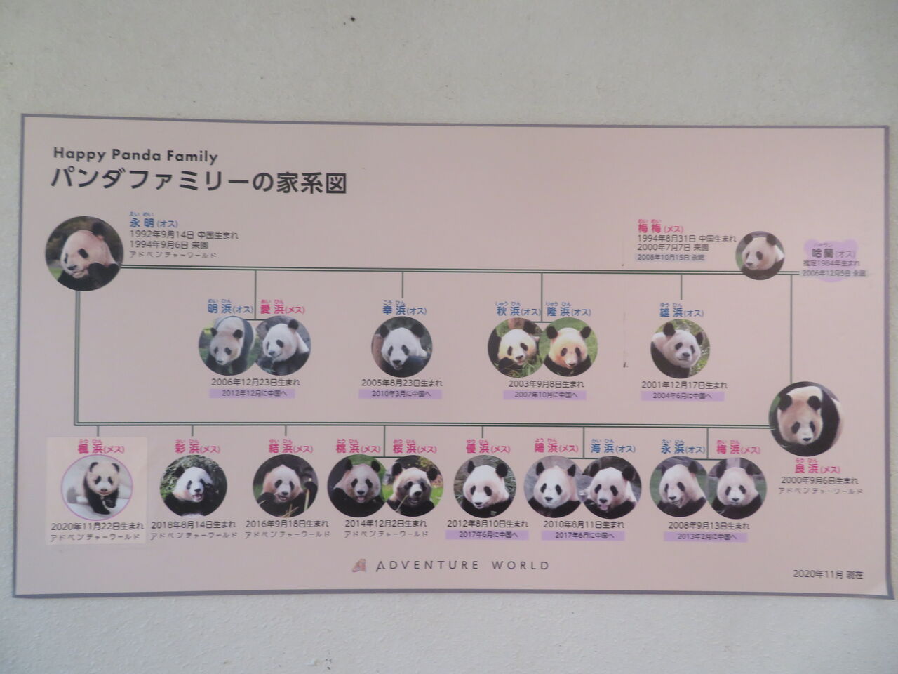21年7月22日 和歌山ツアー1日目 白浜アドベンチャーワールド Maimoな生活