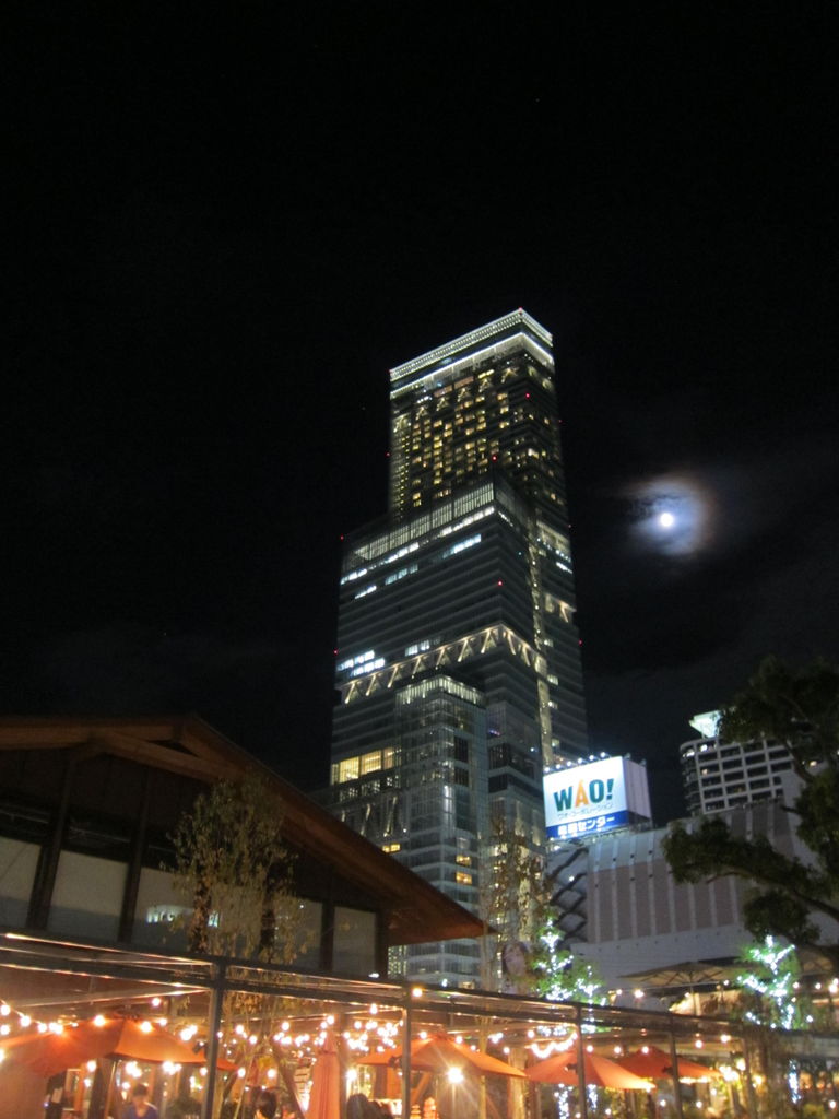 Night Zooの後は古潭でラーメン Maimoな生活