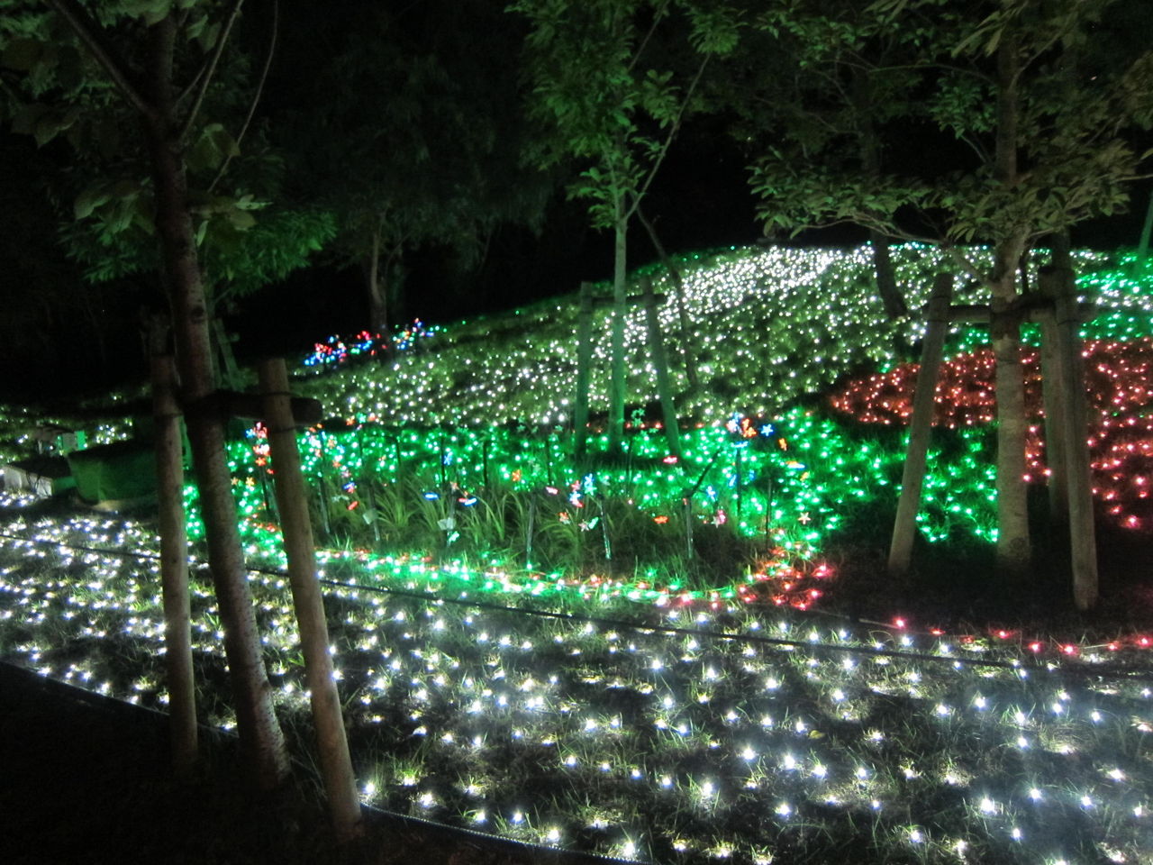 Night Zoo 天王寺動物園 ナイト ズー Maimoな生活