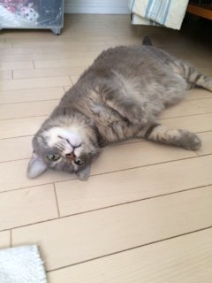 20160614きんぐぎどら2
