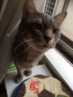 20150703ぎどら3