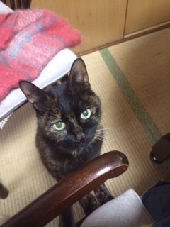 20160316さんびき2