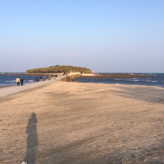 宮崎6