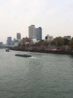 IMG_0638