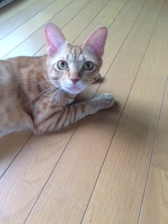 20160525はじめくんたち3