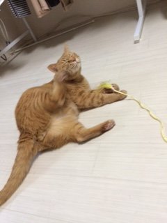 20160518かんたくんたち3