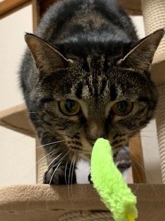 IMG_3373