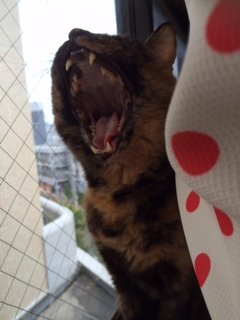 201509010ぴぴ2
