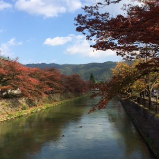 201411京都3