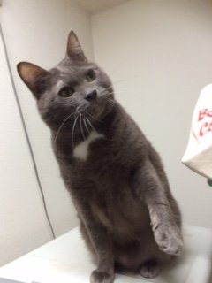 20151204きんぐぎどら1