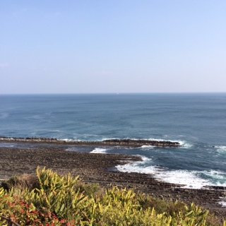 宮崎9