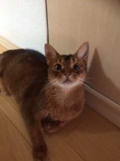 20150621るる2