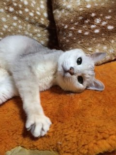 20150503しるく2