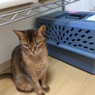 201453なな