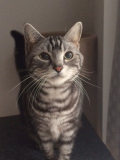 2016016ちゃたろう2