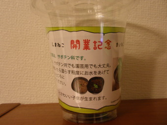 P6060131