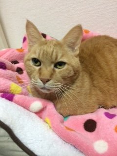 20171212かんたるー1